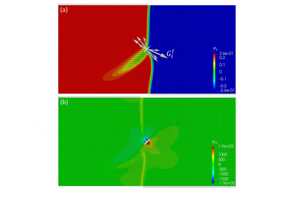 Phase field simulation of ferroelectrics and antiferroelectrics