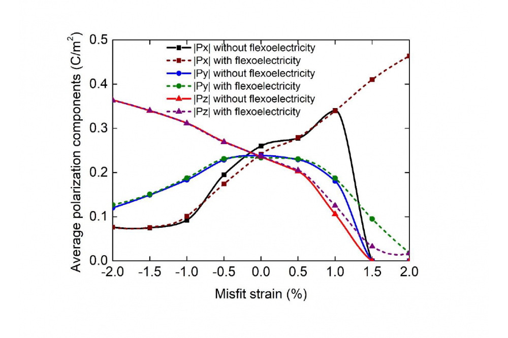 Cooperative kinetics of defects and domain structures in ferroelectrics1