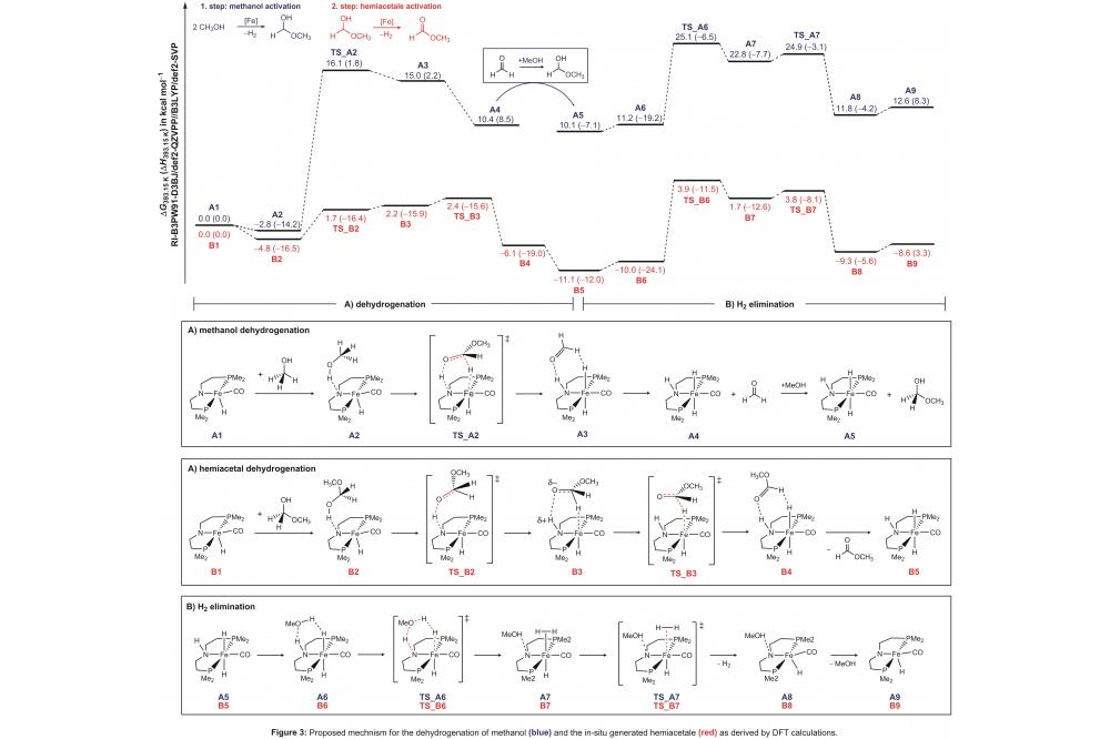 Well-Defined Iron Catalysts