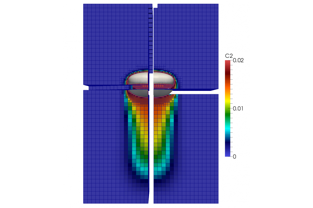 Modeling and Numerical Simulation of Species Transfer in Bubbly Flows Using OpenFOAM
