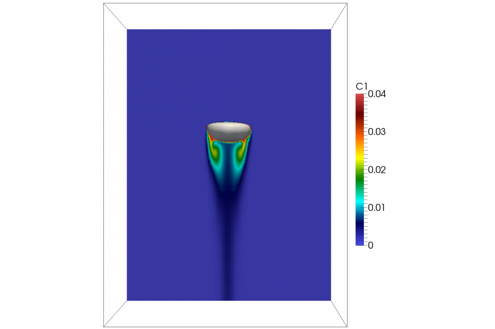Modeling and Numerical Simulation of Species Transfer in Bubbly Flows Using OpenFOAM