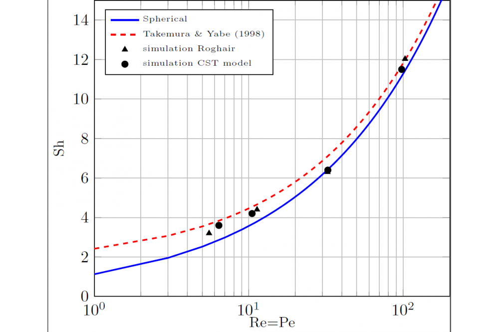 Modeling and Numerical Simulation of Species Transfer in Bubbly Flows Using OpenFOAM