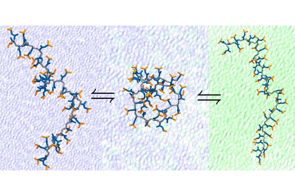 Cahit Dalgicdir_Cononsolvency in Aqueous Alcohols Solutions