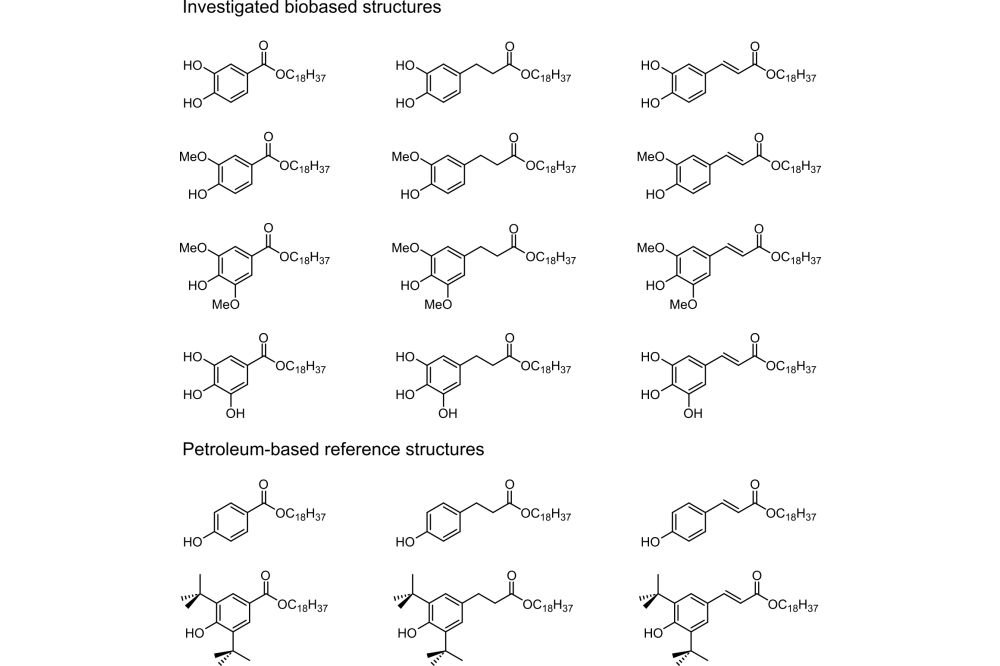 Markus_Katrin_Biogenic Stabilizers: Structure – Property Relationships_Fig1
