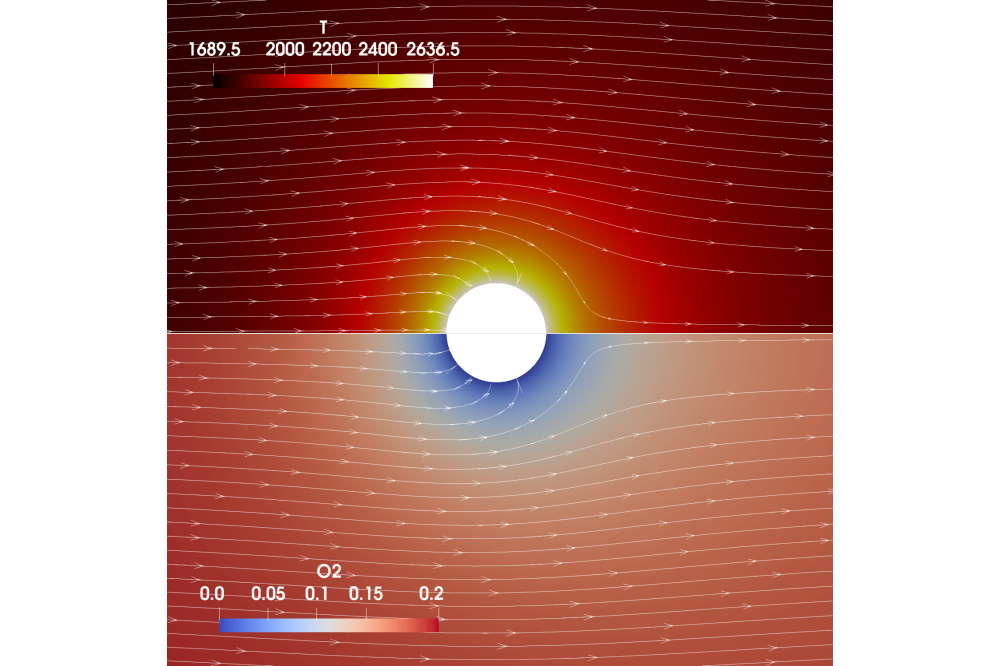 Nguyen_Bich-Diep_Combustion of individual iron microparticles with resolved boundary layers_Fig1