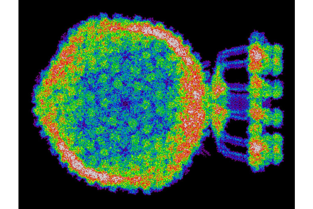 Luc Wieners_Large-Scale Biophysics with Hartree-Fock_Figure2