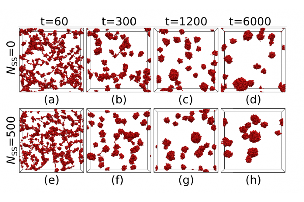 Schneider, Jurek_Slip-Spring DPD Simulations of Flash Nano-Precipitation from Polymer Solutions, Figure1