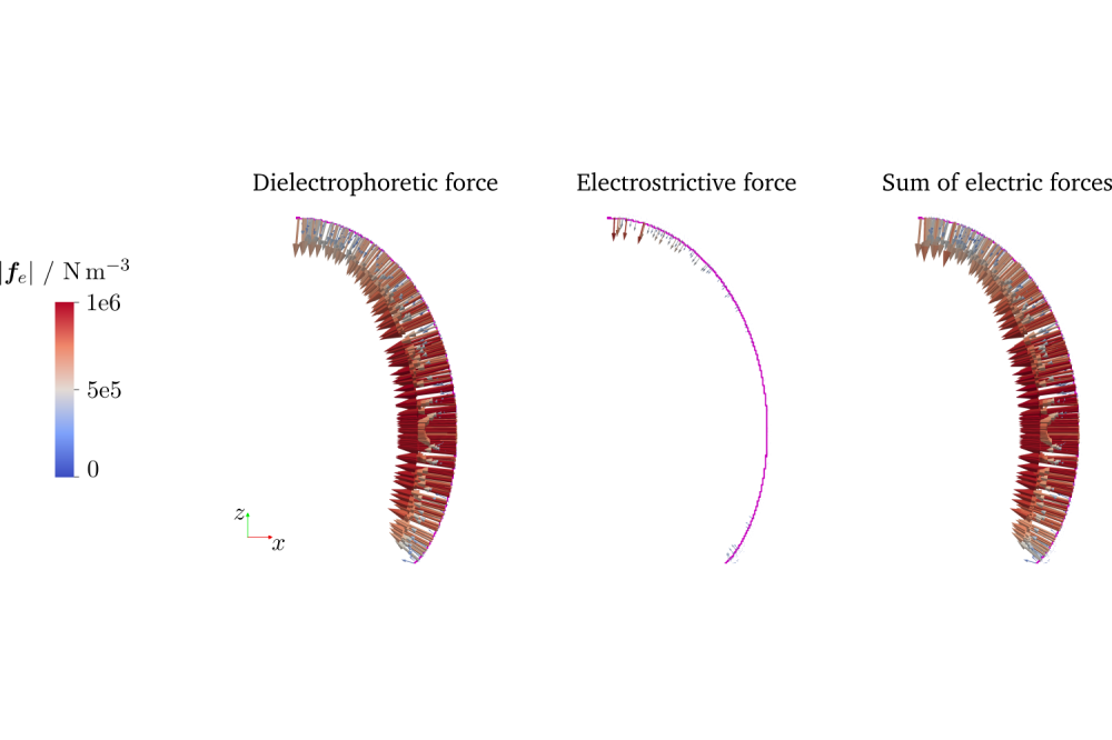 Kind_Johannes_RUBI Simulation (Numerical Simulations on the Effect of an Electric Field on Nucleate Boiling in Microgravity)_Figure1