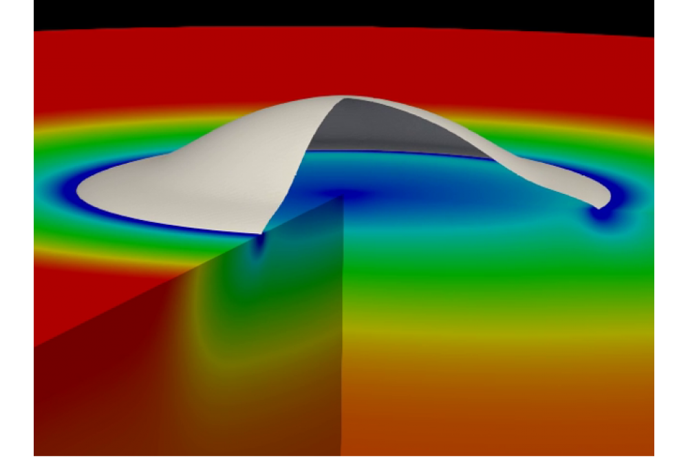 Sontheimer, Henrik_Numerical Investigation of Drop Impact, Coalescence and Evaporation on Superheated Surfaces