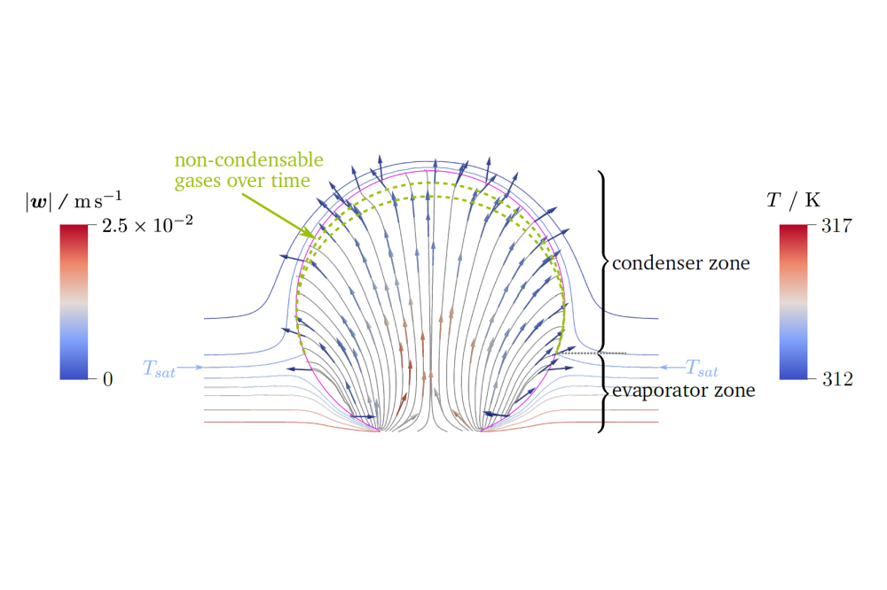 Johannes Kind_Numerical Simulation of Nucleate Boiling in Microgravity_Figure1
