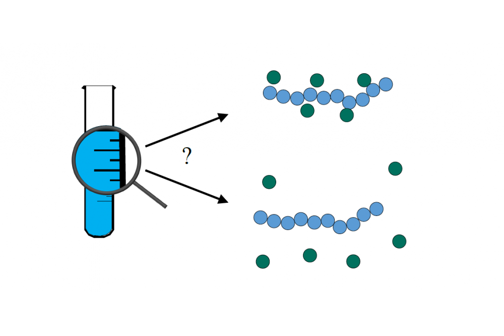 Folberth, Angelina_Influence of Osmolytes on the Solvation of Peptides and Model-Peptides