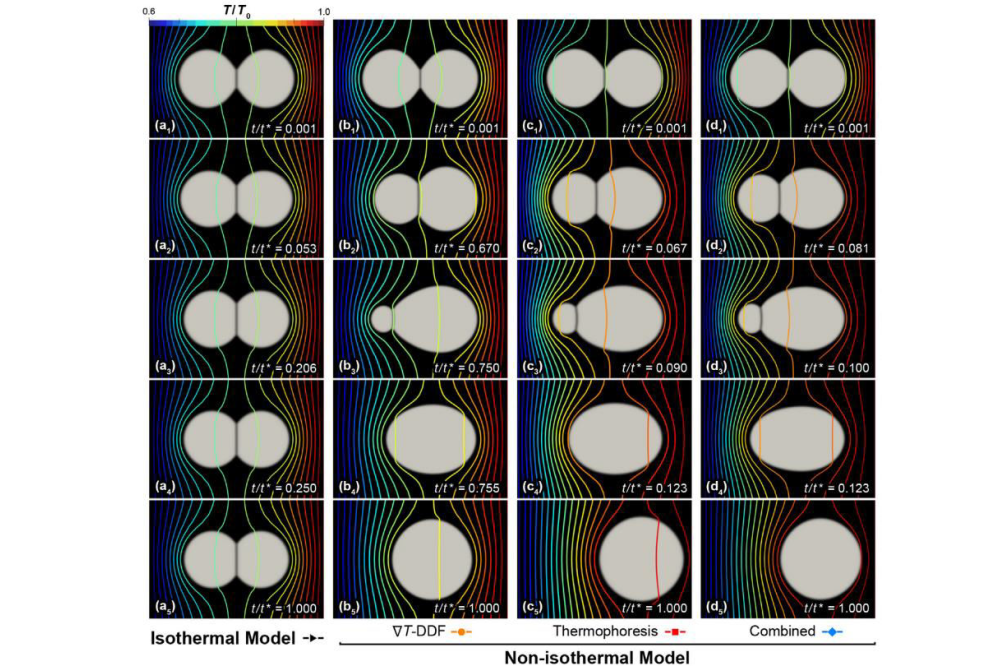 Timileyin , Oyedeji_Revealing temperature-gradient-driven effects in unconventional sintering by non-isothermal phase-field modeling_Figure1