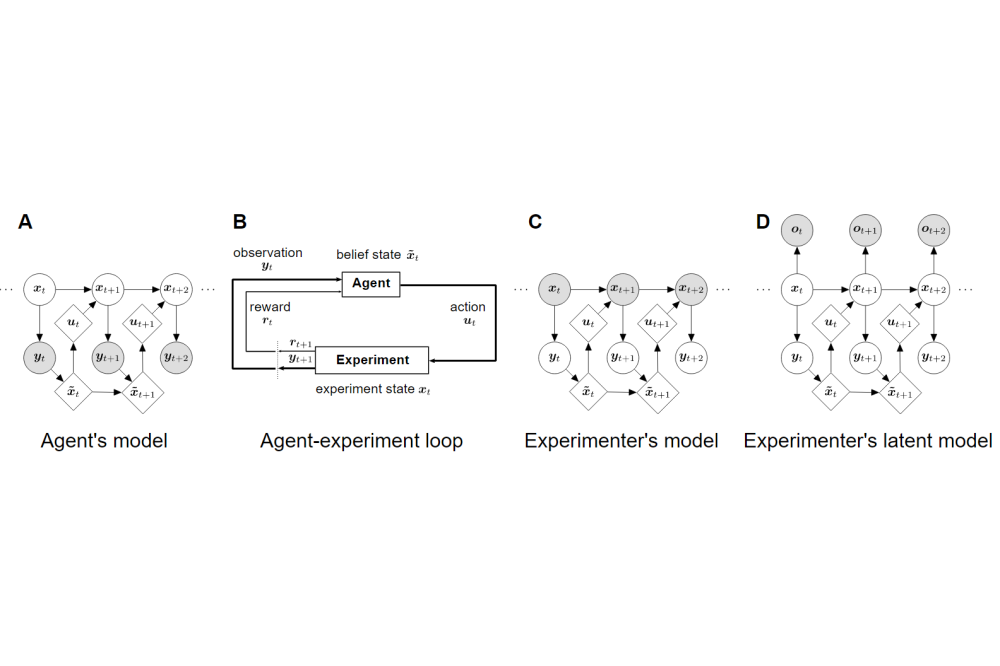 Straub, Dominik_Inverse Optimal Control Adapted to the Noise Characteristics of the Human Sensorimotor System