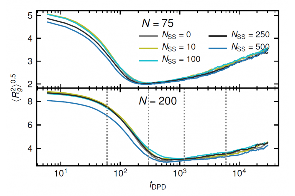 Schneider, Jurek_Slip-Spring DPD Simulations of Flash Nano-Precipitation from Polymer Solutions, Figure2