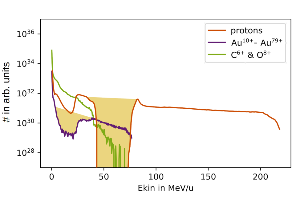Sarah Grimm_Laser Ion Acceleration for ELI-NP Experiments_Figure2