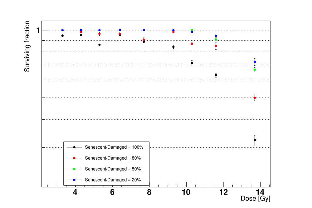 Cogno_Nicolò_An Agent-Based Model of Radiation-Induced Lung Fibrosis_Figure3