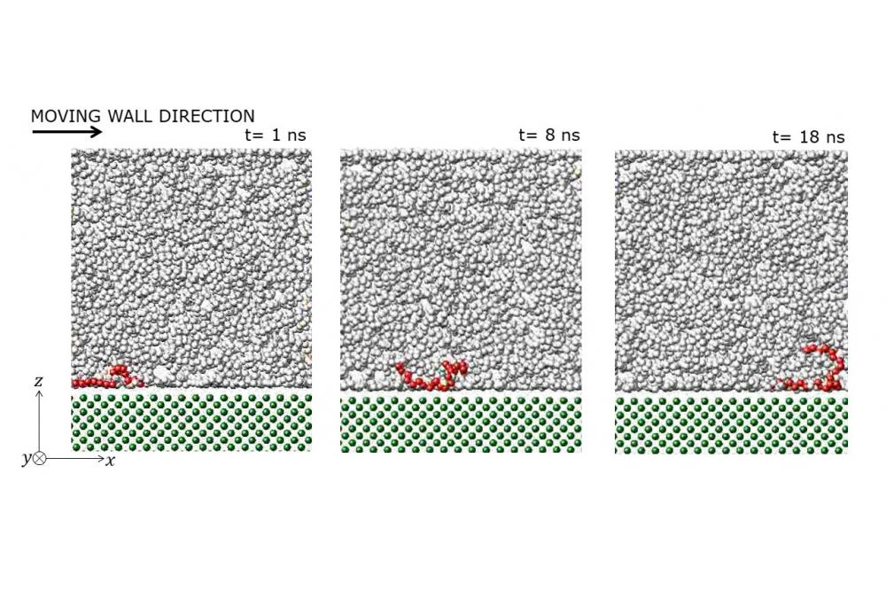 Mehrnia, Seyedmajid_Molecular dynamics simulation of a tribology system