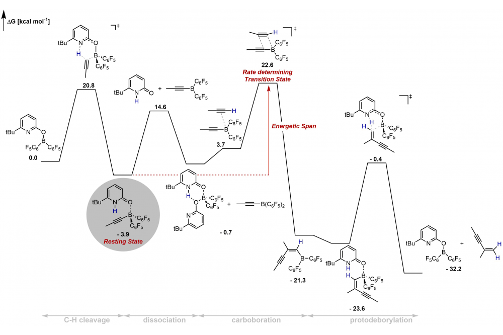 Gellrich_Metal-free dimerization of terminal alkynes catalyzed by a pyridonate borane complex 