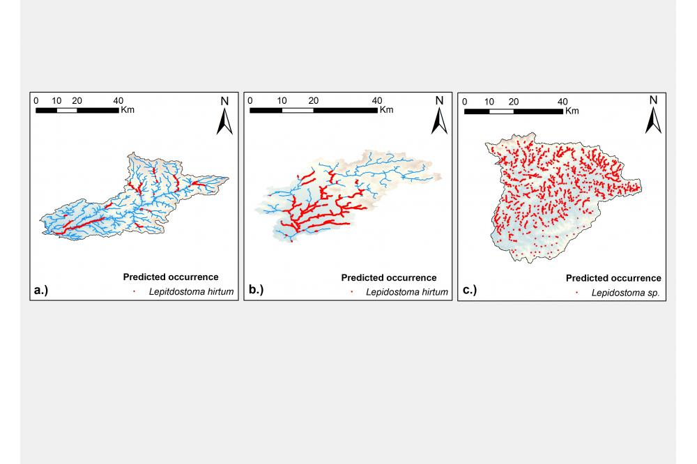 Freshwater Species Distribution Models