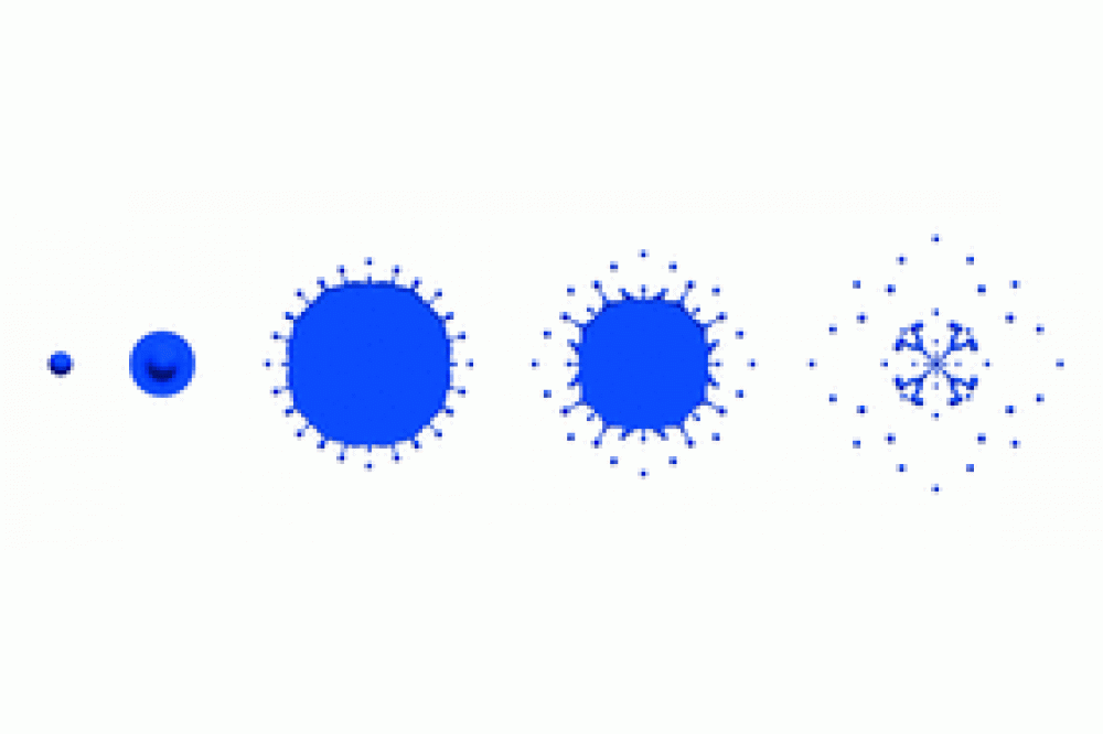 Numerical Study