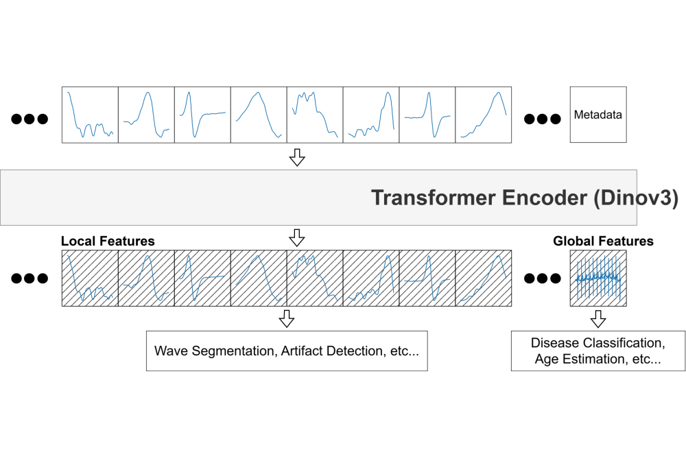 Evaluating and Enhancing Approaches for Improving the Robustness and Calibration of Neural Networks