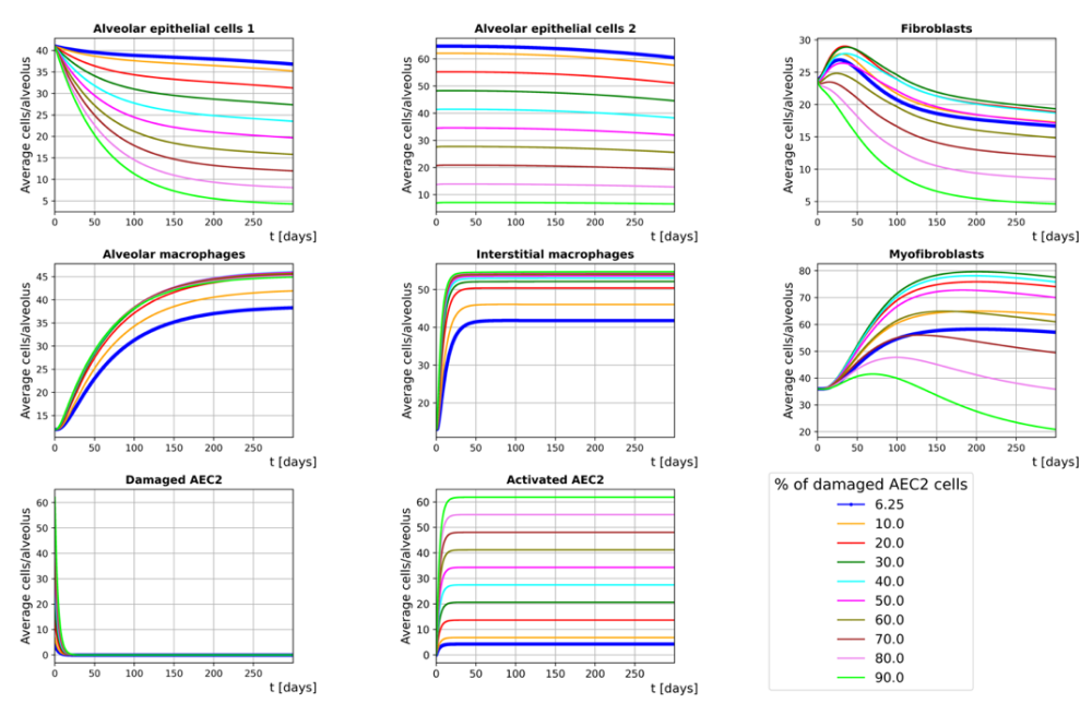 Cogno, Nicolò_Agent-based model of radiation-induced lung toxicity_figure2