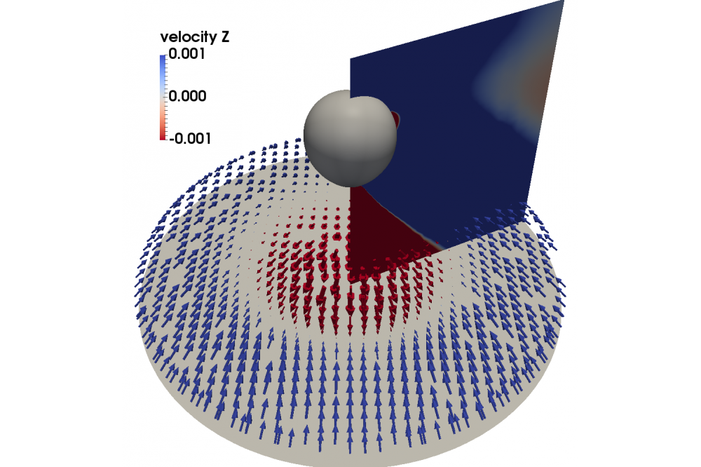 DNS of viscoelastic fluids