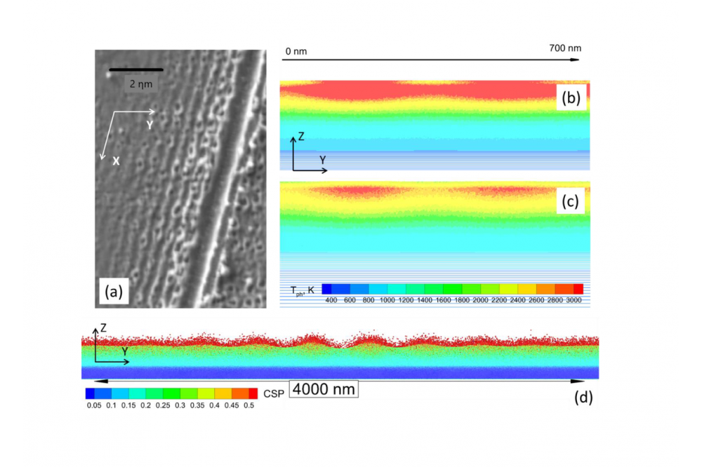 Laser-Induced Generation Nanostructures and Nanoparticles of Different Materials in Different Media: Molecular Dynamics Investigation2