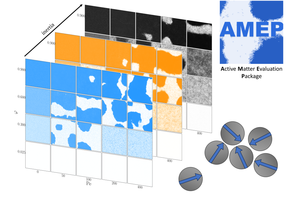 Hecht_Lukas_Phase Diagram of Inertial Active Brownian Particles_Fig1