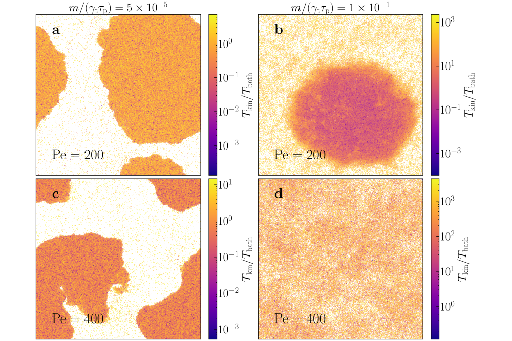 Hecht_Lukas_Phase Diagram of Inertial Active Brownian Particles_Fig2