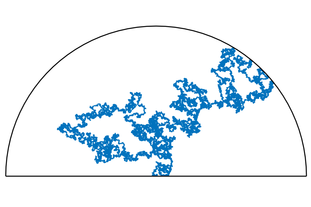 Numerical methods for the model of Spatial Random Permutations and a connection to Schramm-Loewner Evolution