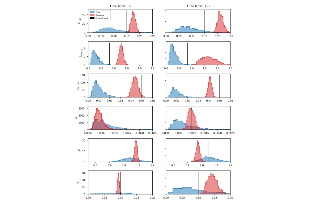 Wildner, Christian_Bayesian Inference of Cyclic Transcription Dynamics_Figure1